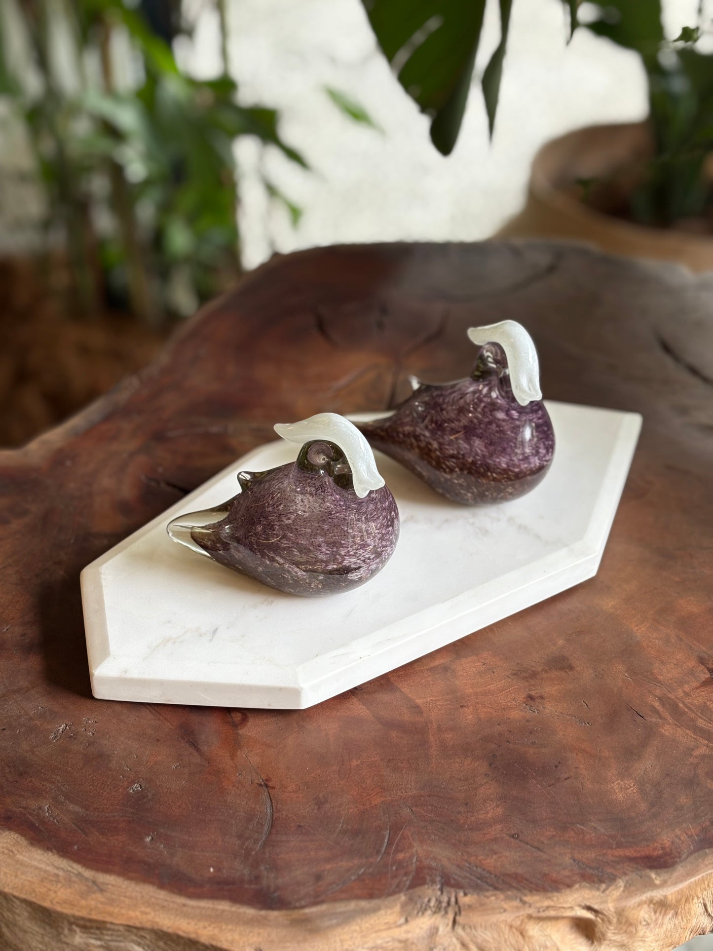 Lovebirds Mulberry