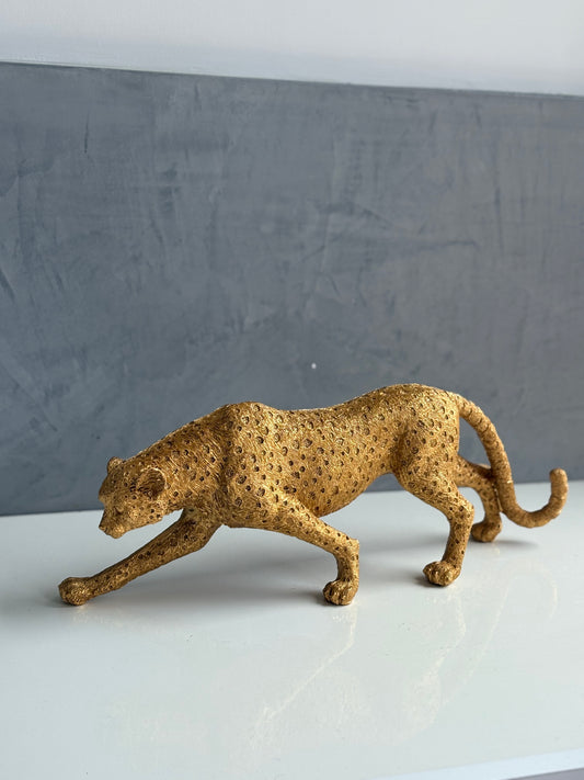 Golden Cheetah