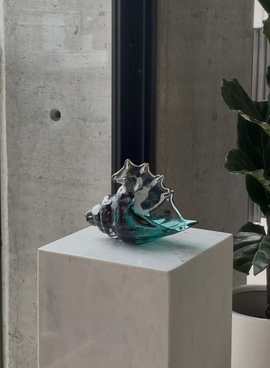 Aqua Seashell