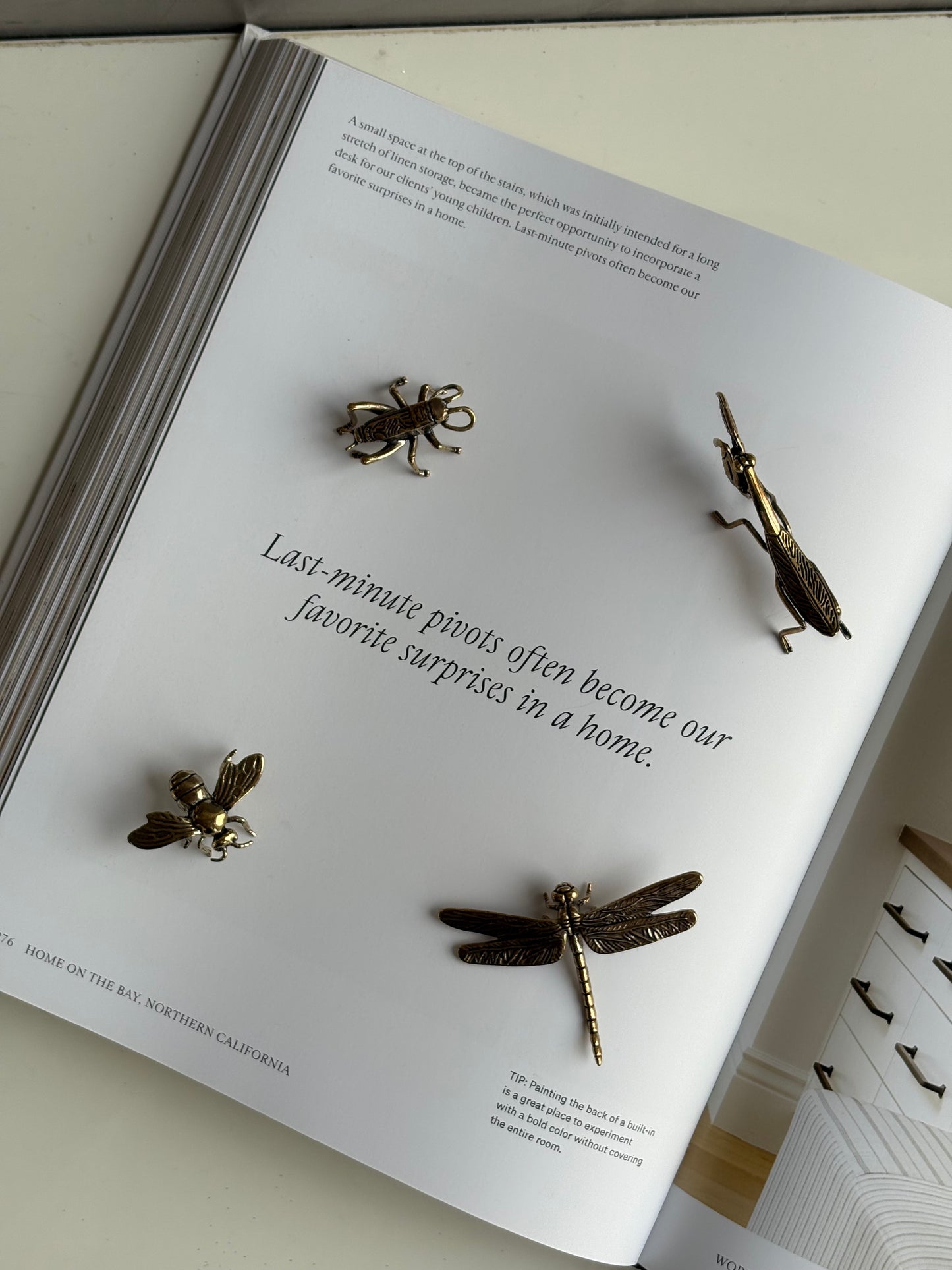 Golden Bug Set