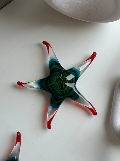 Montego Starfish