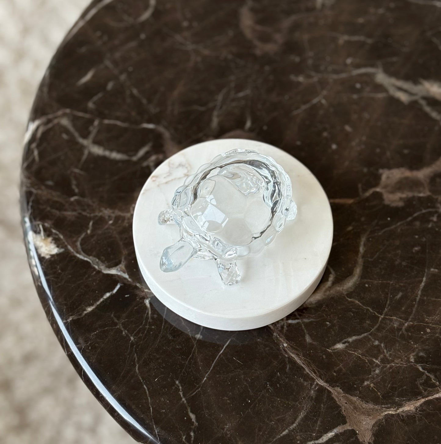 Glass Tortoise