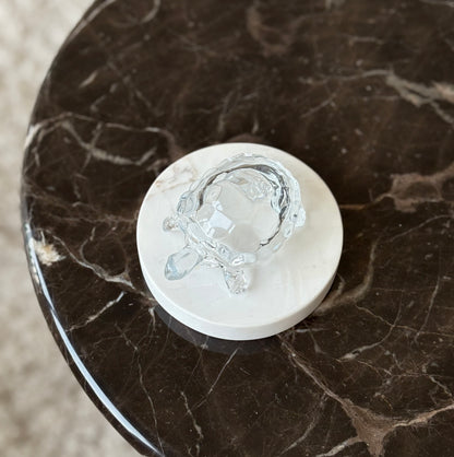 Glass Tortoise