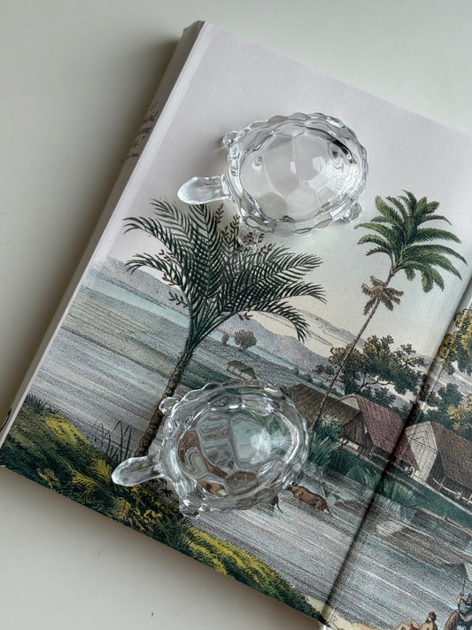 Glass Tortoise