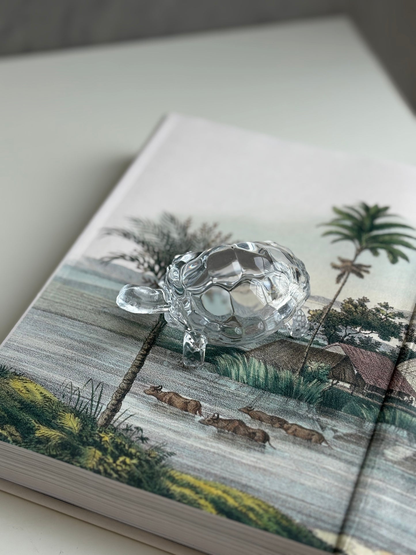 Glass Tortoise