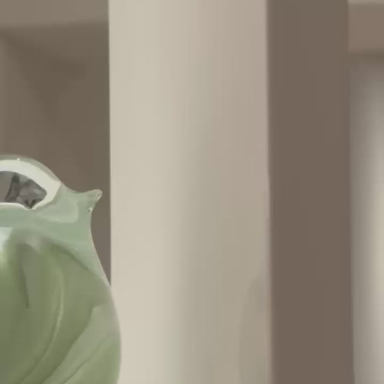 lovebirds olive